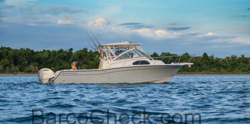 Grady White 300 avaliação e ficha técnica